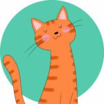 Vocabolario 14 icon aspetto magro | Vocabolario
